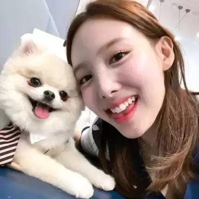 闻淑颖